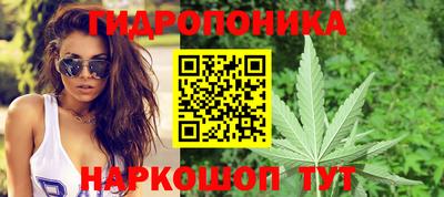 ECSTASY Лесосибирск